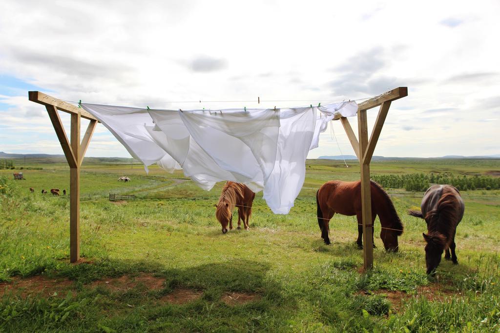 Kjarnholt Mengi Countryside Bed & Breakfast エクステリア 写真